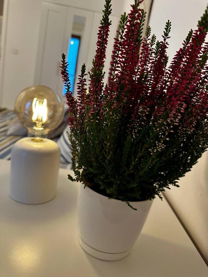 Apartament Centrum, Miejsce Parkingowe W Cenie Warszawa Eksteriør bilde